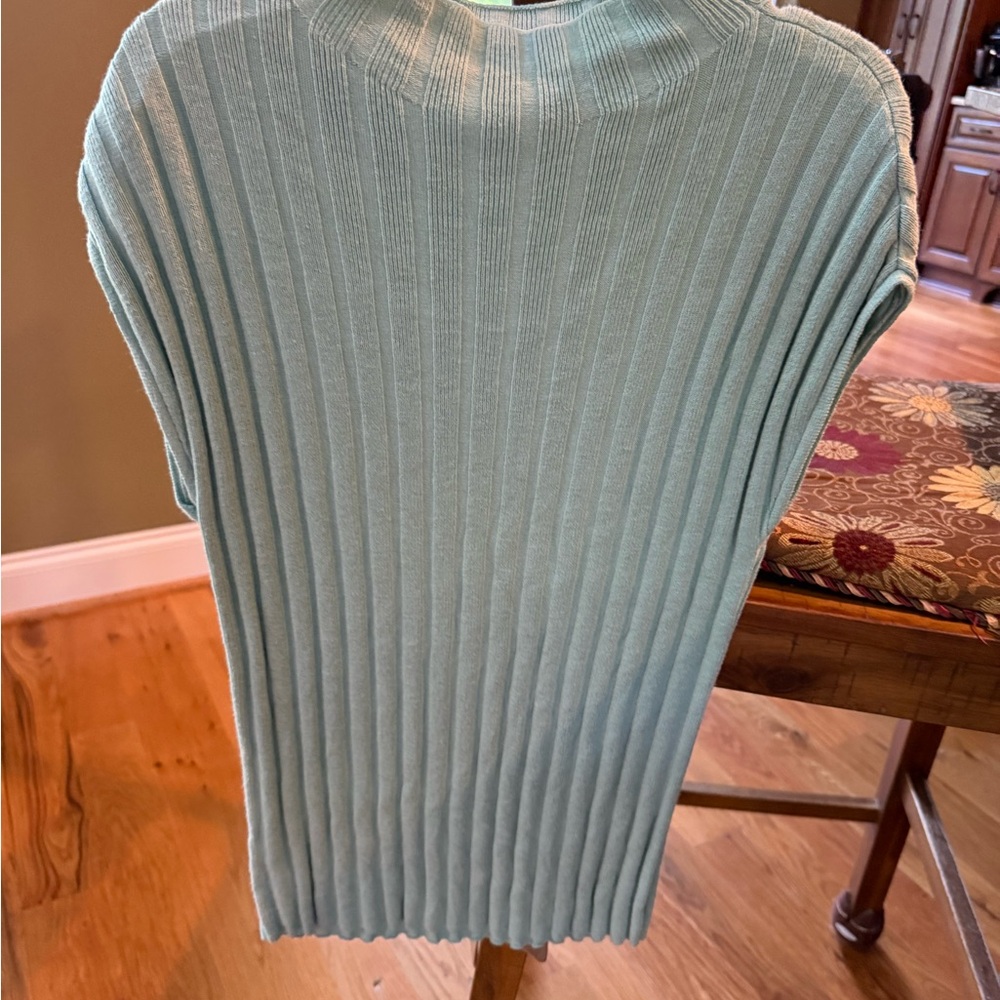 Ann Taylor Mint Ribbed Knit Top